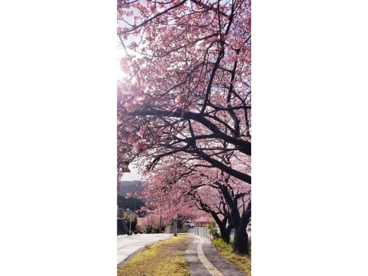 Trust Maison Hokkawa - Vacation Stay 24200V 東伊豆町 エクステリア 写真